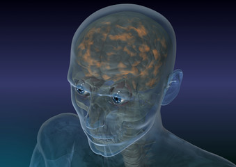 Gehirnaktivit&auml;t_I