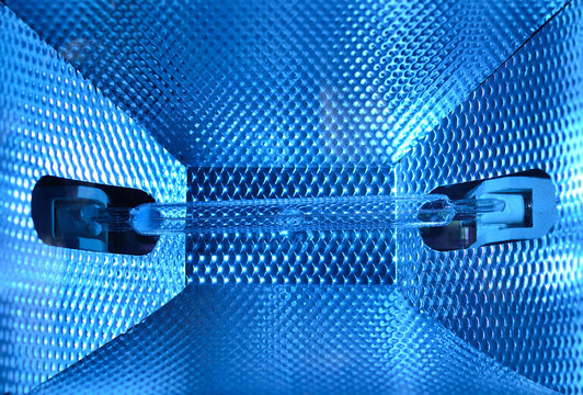 Halogen lamp in reflector box