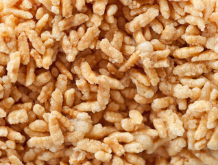 crispy rice