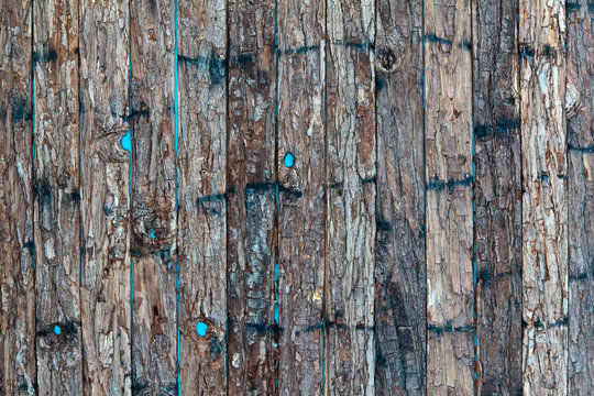 Small strokes of bark on a blue background