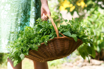 Herbs in a basket