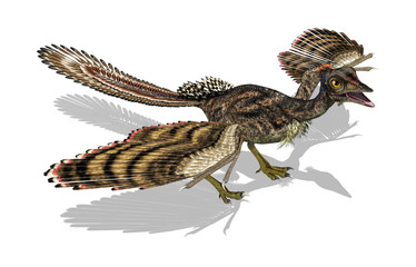 Archaeopteryx - Prehistoric Bird