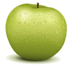 Realistic apple