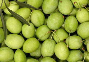 Green Olives