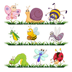 Fototapeta premium Bug series