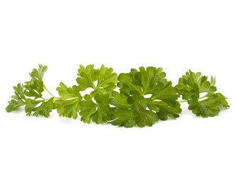 parsley