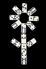 Domino isolated on a black background