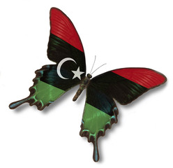 Libya flag on butterfly