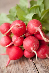 Radieschen