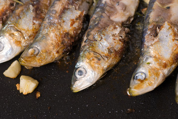 Roast sardines