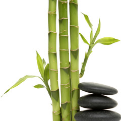 Fototapeta na wymiar młody zielony bambusa i stos kamieni czarny