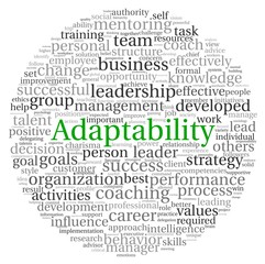 Adaptability concept in word tag cloud