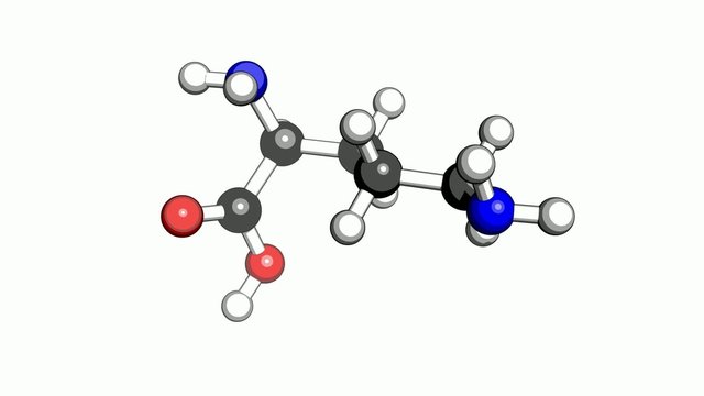 Amino acid ornithine molecular structure on a white background