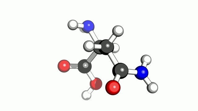 Amino acid asparagine molecular structure on a white background