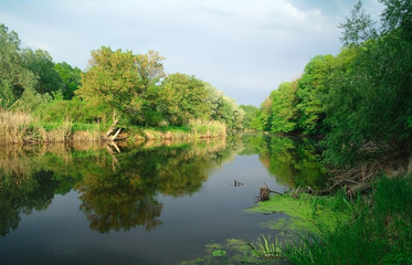 Fototapeta na wymiar View on the river , spring .Ukraine. 