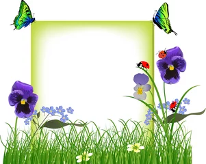 Crédence de cuisine en verre imprimé Coccinelles papillons verts et bleus sur châssis