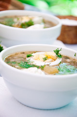 green soup of sorrel soup in a cup