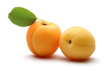 fresh apricot fruits