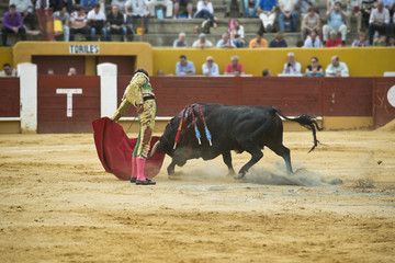 Toro bravo envistiendo con fuerza en la plaza.