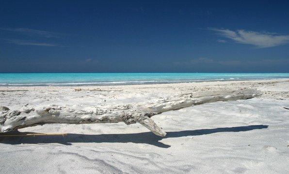 spiagge bianche, toscana