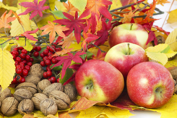 Naklejka na ściany i meble arrangement of autumn leaves and red apples and walnuts