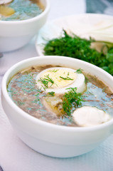 green soup of sorrel soup in a cup