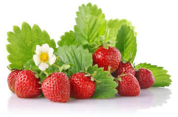 ripe strawberry with green leaves and flower isolated on white