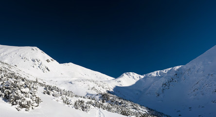 White blue winter panorama
