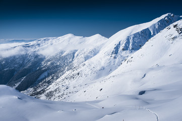 Fototapeta na wymiar Biała zimowa sceneria niebieski
