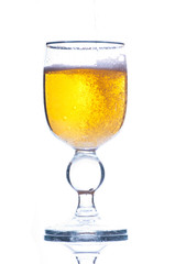 A woman's cup of beer.