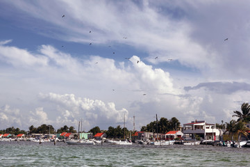 Rio Lagartos - Mexico