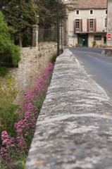 Parapet de pont bordé de fleurs mauves