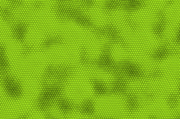 iguana leather