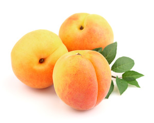 Ripe sweet apricots with leaves