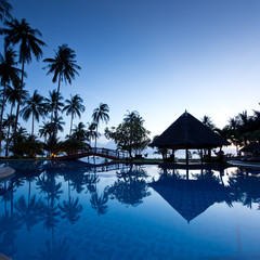 Amazing sunrise at swimming pool wit palms background