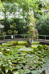 Obraz premium Botanical Garden Na Slupi, Prague, Czech Republic