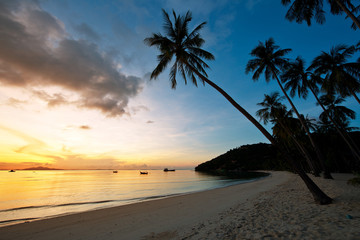 Obraz na płótnie Canvas Piękny wschód słońca na plaży z palmami