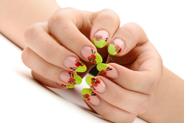 Female hands with manicure closeup. Isolated on white