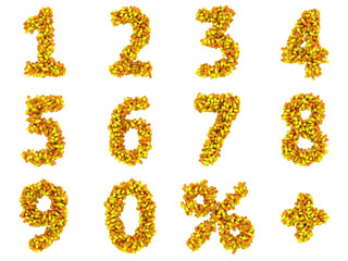 Numbers and math symbols