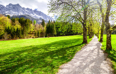 Alpine landscape with road on the green field