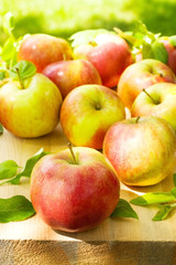fresh apples