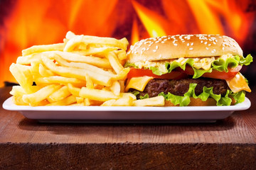 hamburger with fries