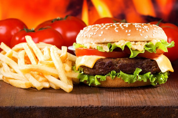 hamburger with fries