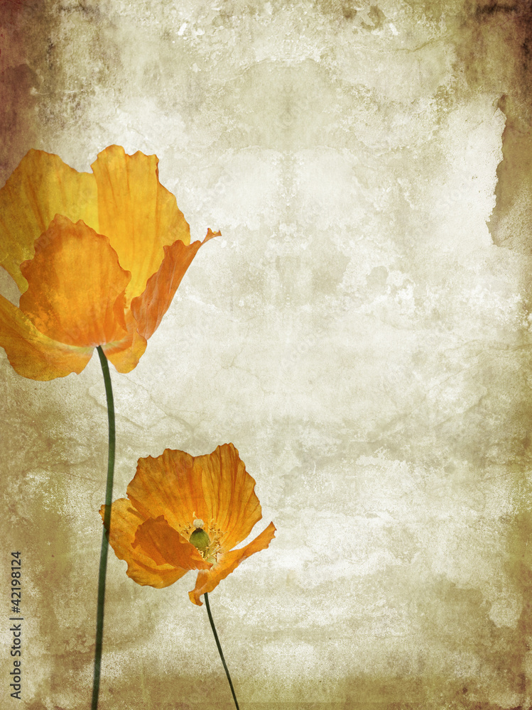 Sticker pretty, orange, poppies grungy background