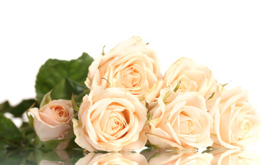 Bouquet of white roses isolated on white