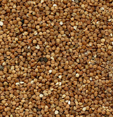 Buckwheat background