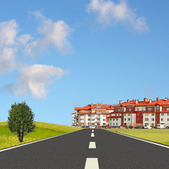 modern family houses in flowers filed