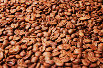 Coloured coffee texture. Coffee beans closeup