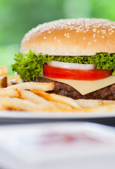 Burger mit Pommes Frites