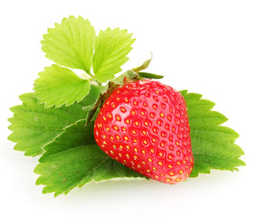 sweet ripe strawberries with leaves isolated on white